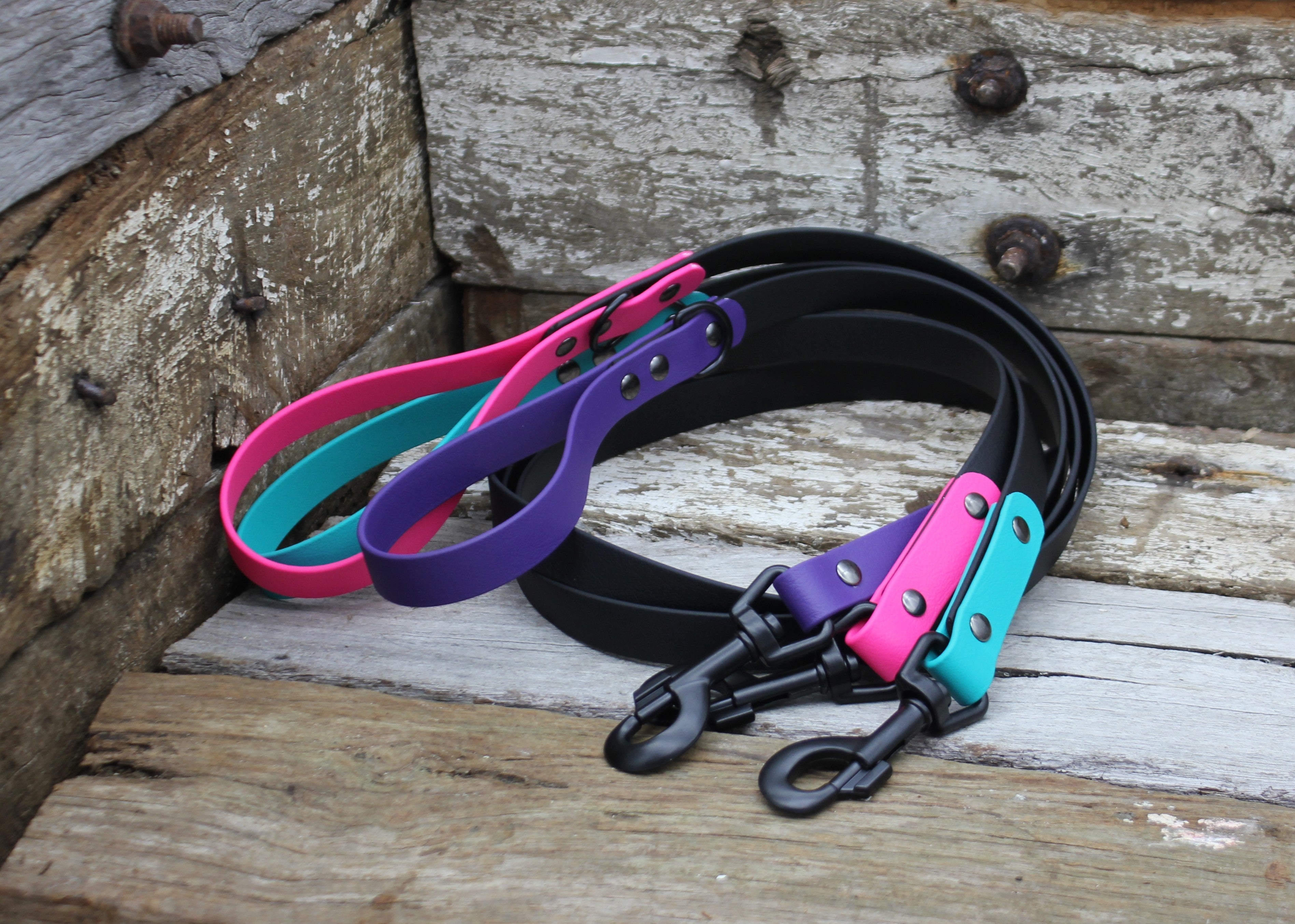 ALL LEADS - Nextgen Dog Collars