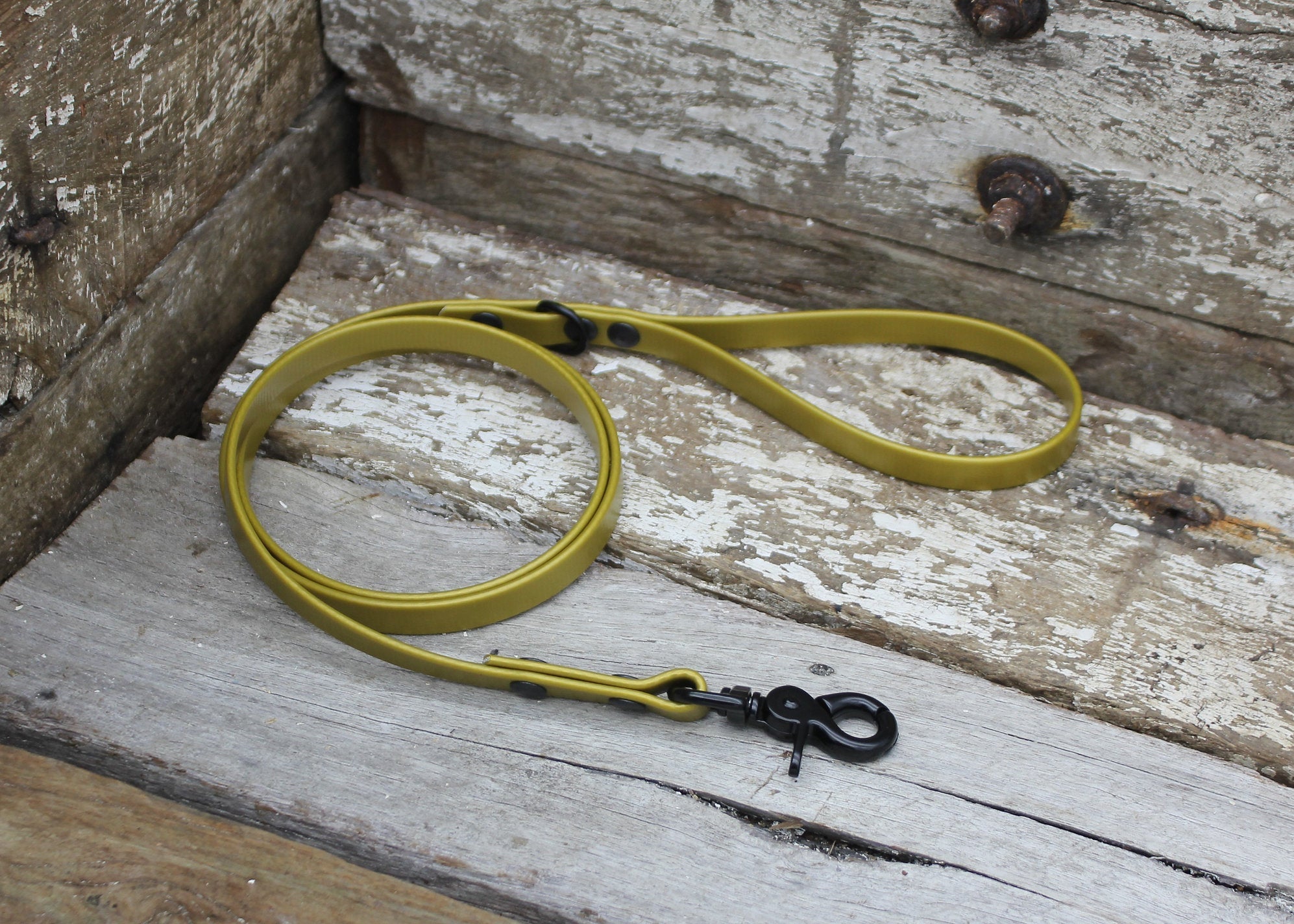 CLEARANCE - Nextgen Dog Collars
