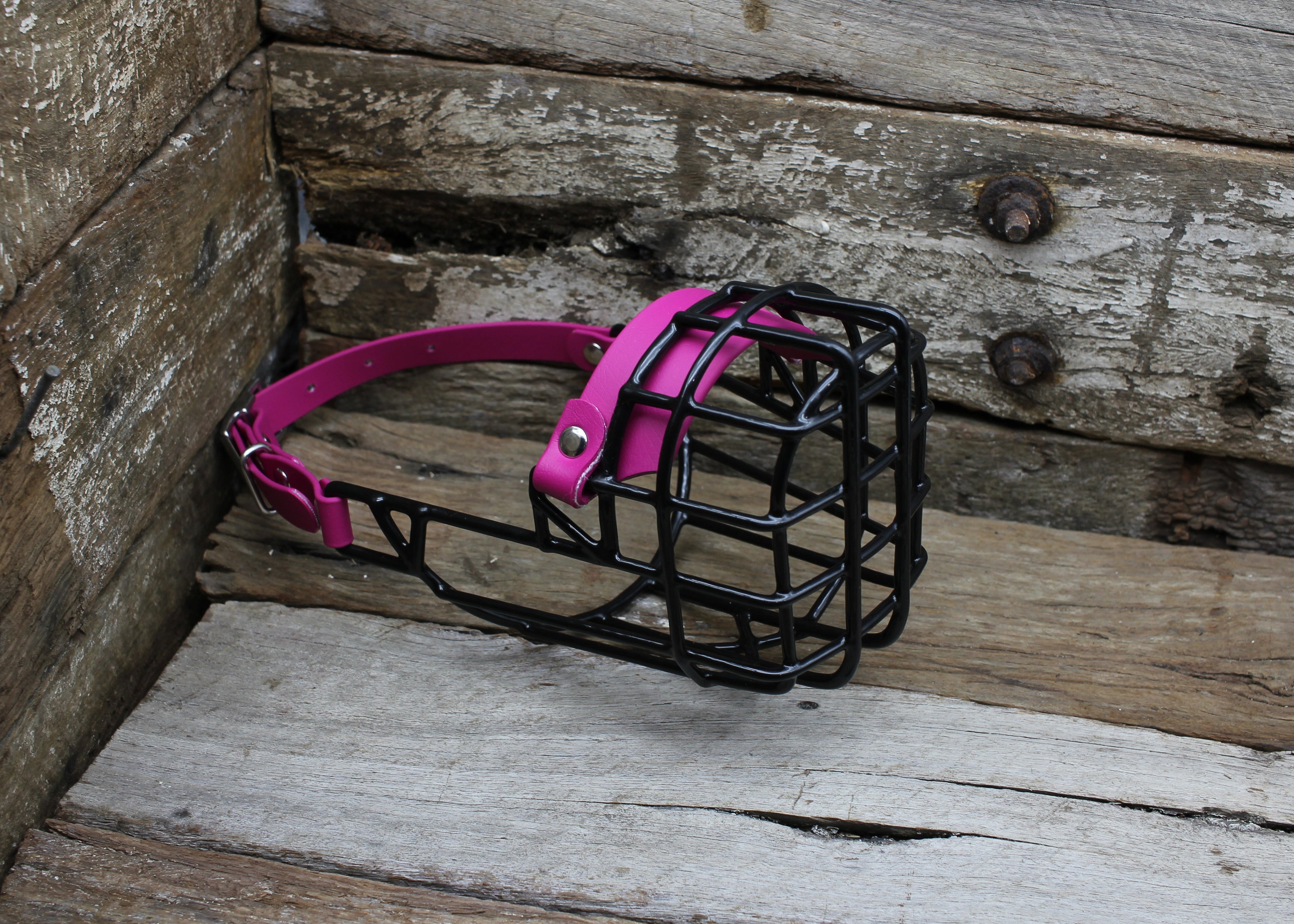 NEXTGEN MUZZLE & ACCESSORIES - Nextgen Dog Collars