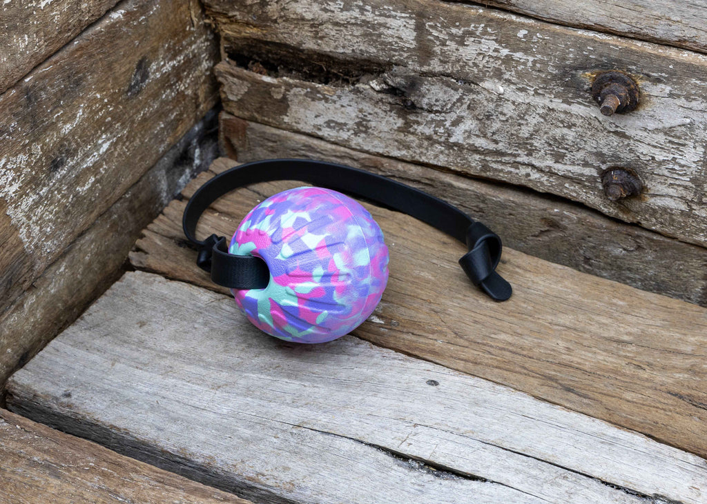 Nextgen Biothane + DuraFoam Sorbet Launcher Ball Sorbet - 9CM