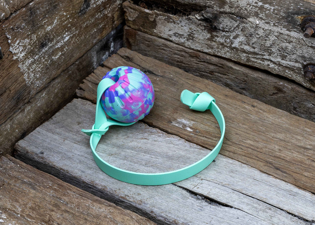 Nextgen Biothane + DuraFoam Sorbet Fetch Launcher Ball - 7CM