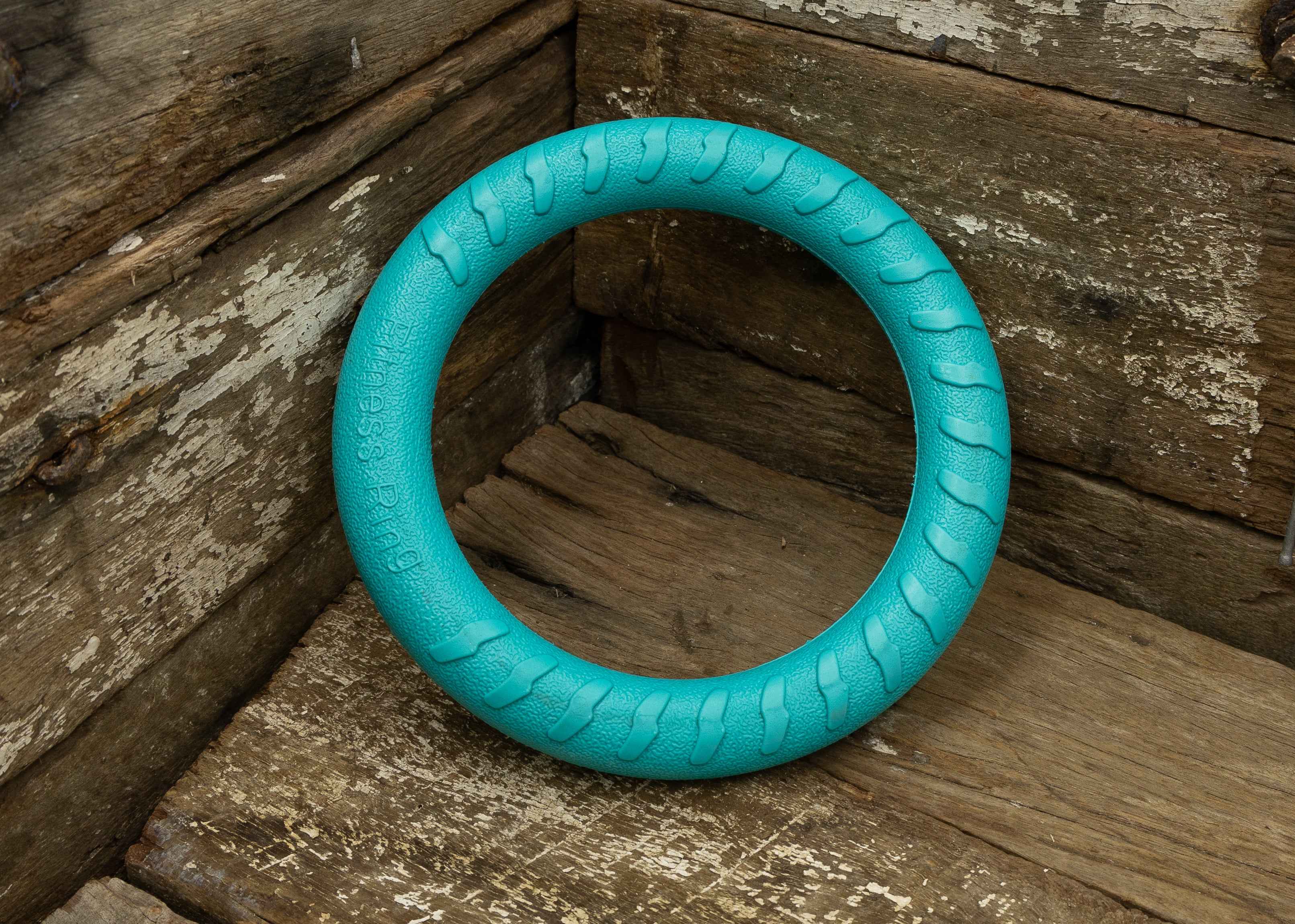 Nextgen DuraFoam Ring Teal - 18CM - Nextgen Dog Collars