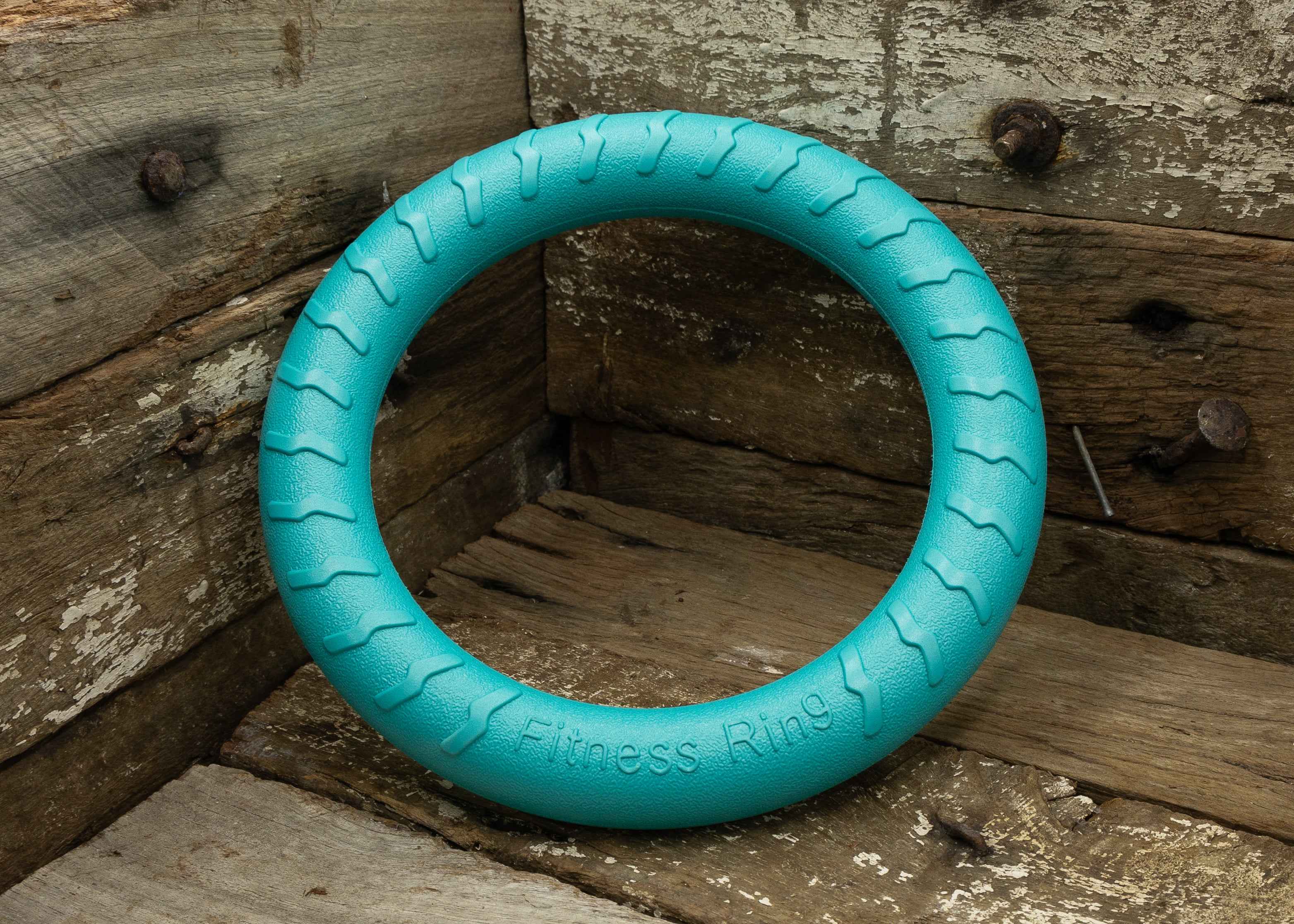 Nextgen DuraFoam Ring Teal - 29CM - Nextgen Dog Collars