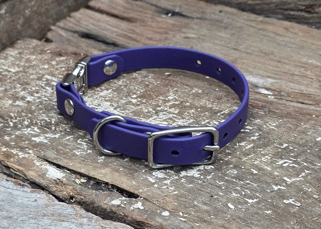 A purple dog collar with silver metal hardware, resting on weathered wooden planks.