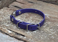 A purple dog collar with silver metal hardware, resting on weathered wooden planks.
