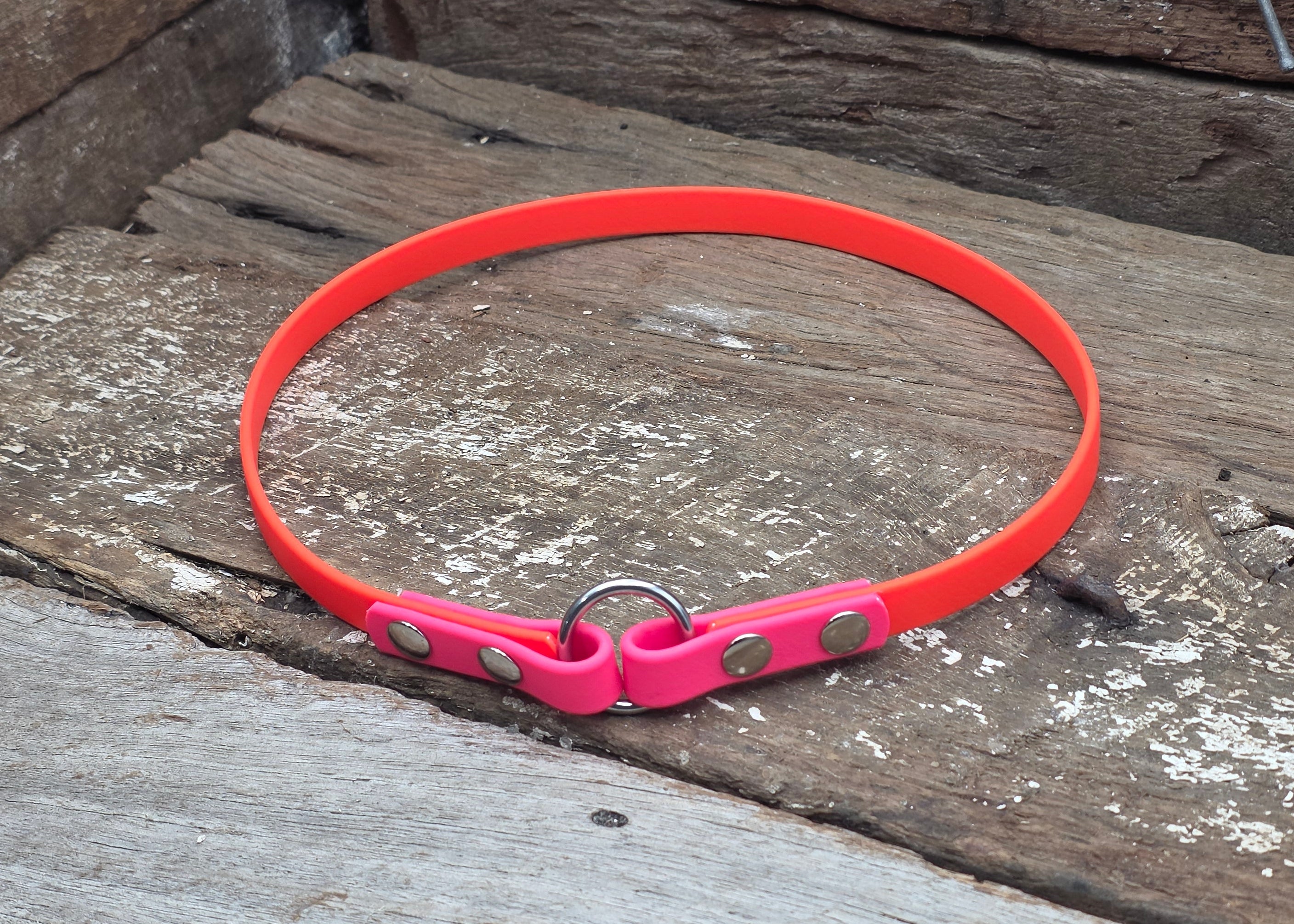 A bright pink adjustable collar with silver metal rivets and a ring, resting on weathered wooden planks.