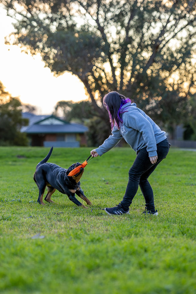 Nextgen Ultimate Tug Toy