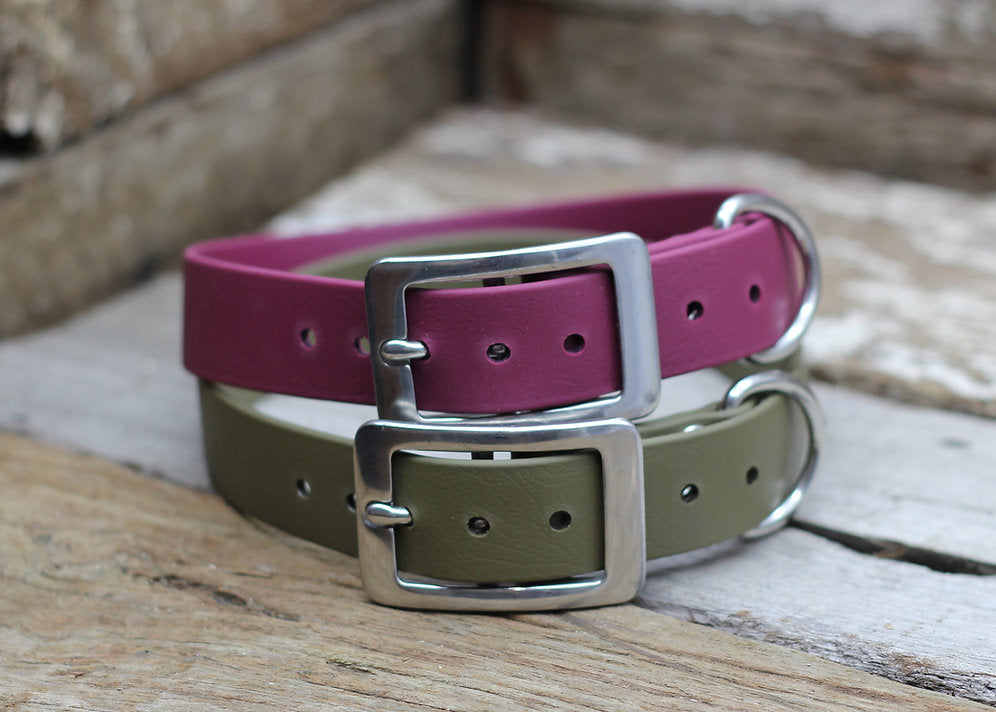 Biothane Flat Collar 1" 25mm