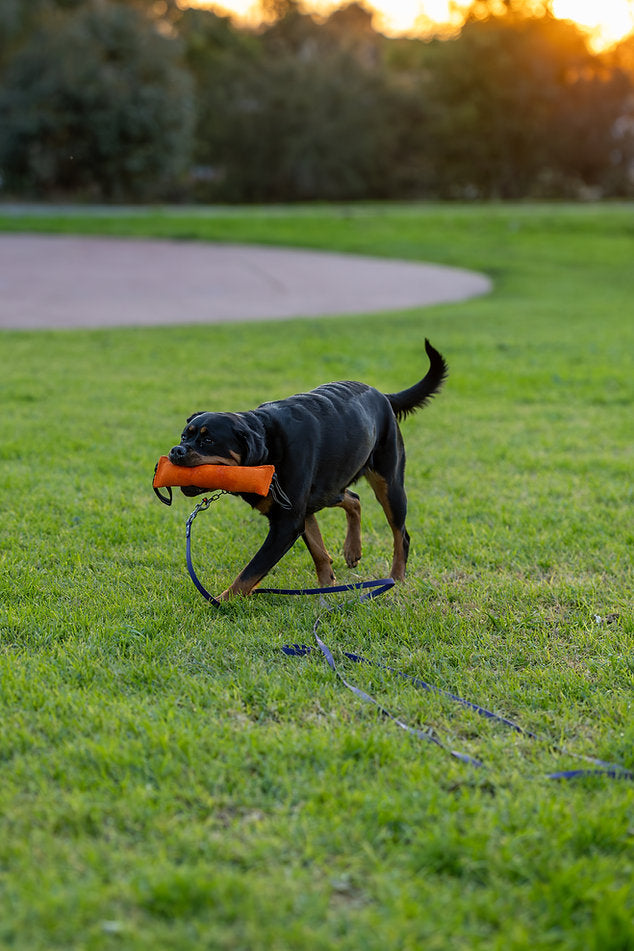 Nextgen Ultimate Tug Toy