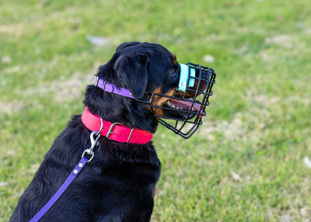 Nextgen Wire Basket Dog Muzzle