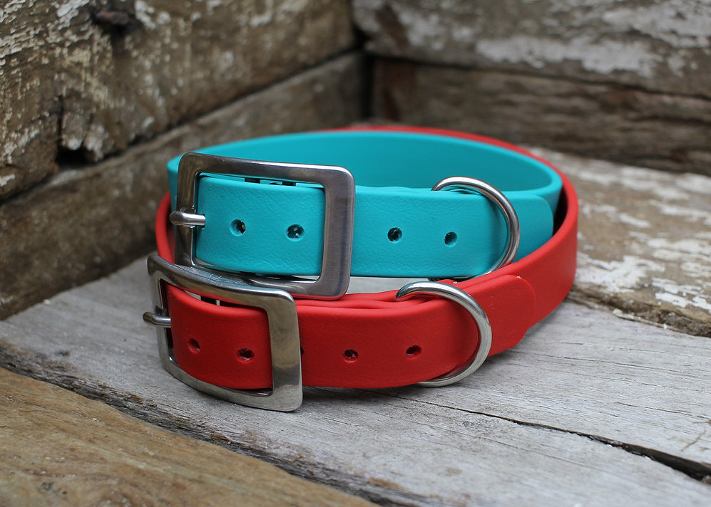 Biothane Flat Collar 1" 25mm SUPER HEAVY
