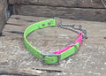 Neon green and pink dog collar with chain on a wooden surface