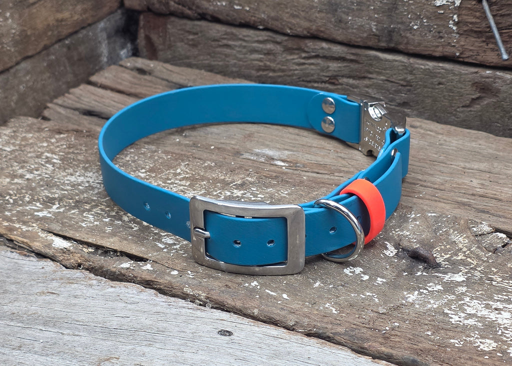 A bright blue leather dog collar with a silver metal buckle and a small orange accent tab, resting on weathered wooden boards.