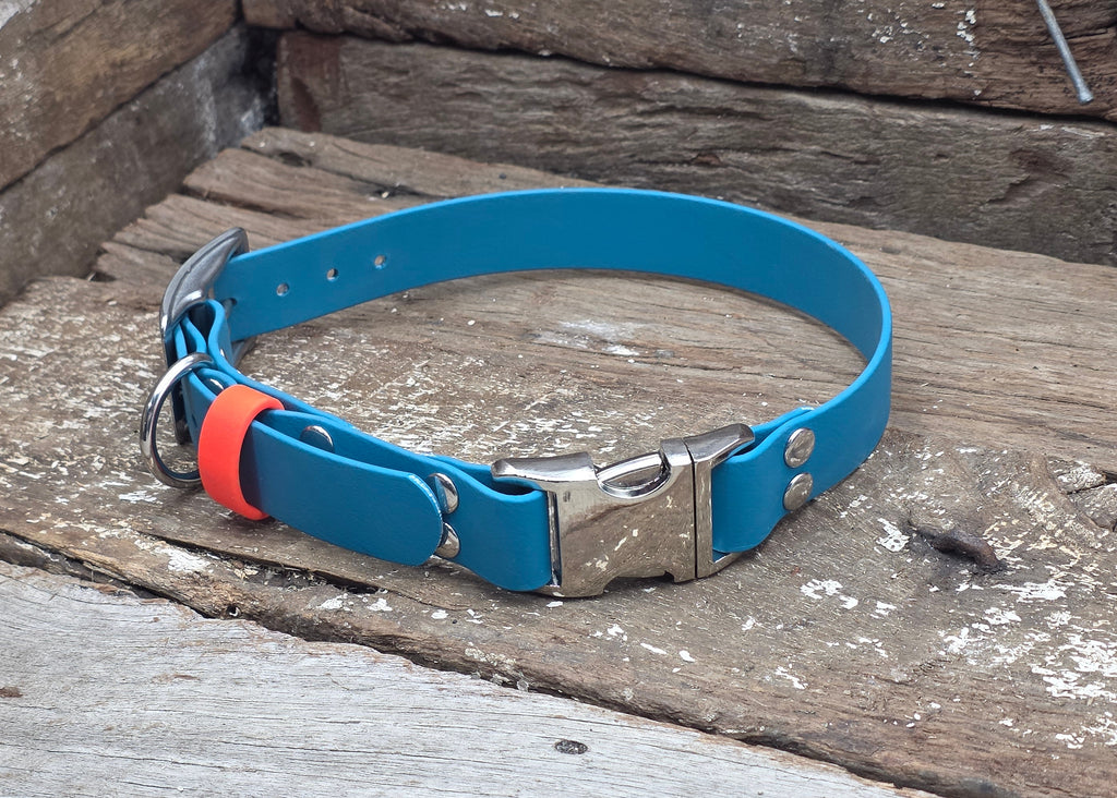 A bright blue leather dog collar with a silver metal buckle and a small orange accent ring, resting on weathered wooden planks.