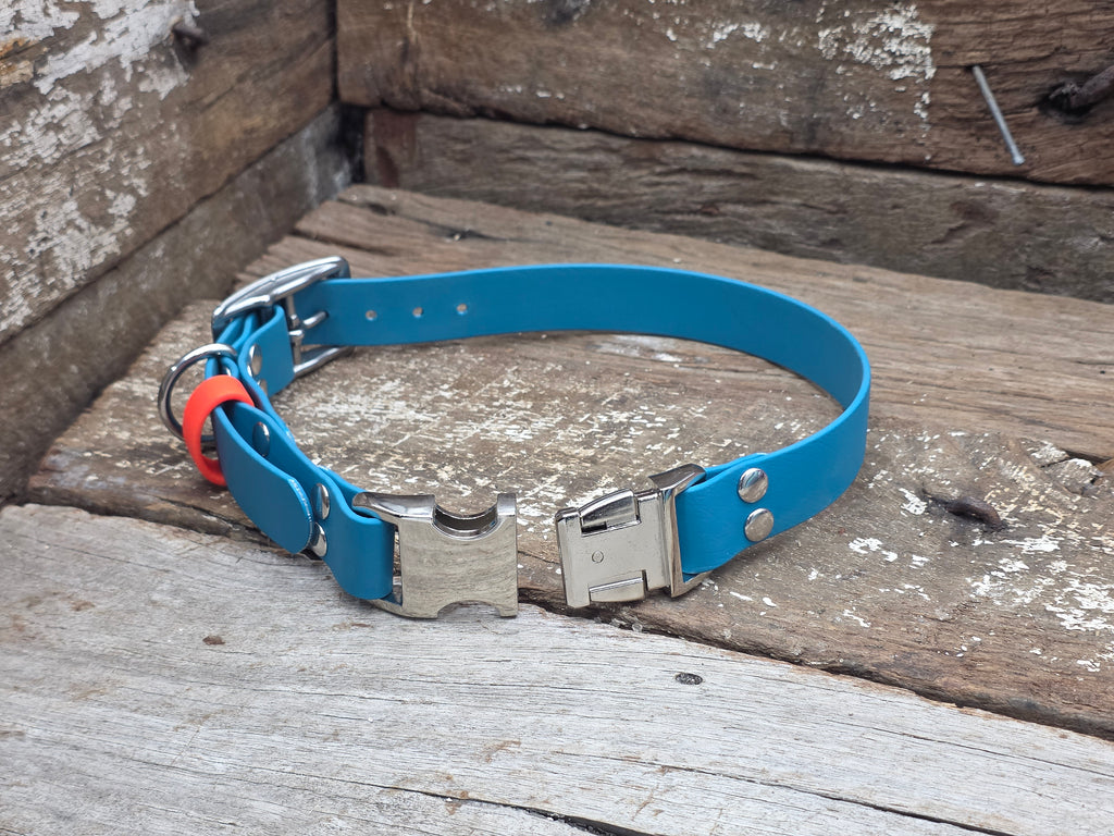 A bright blue leather dog collar with silver metal hardware and a small orange accent ring, displayed on a rustic wooden surface.