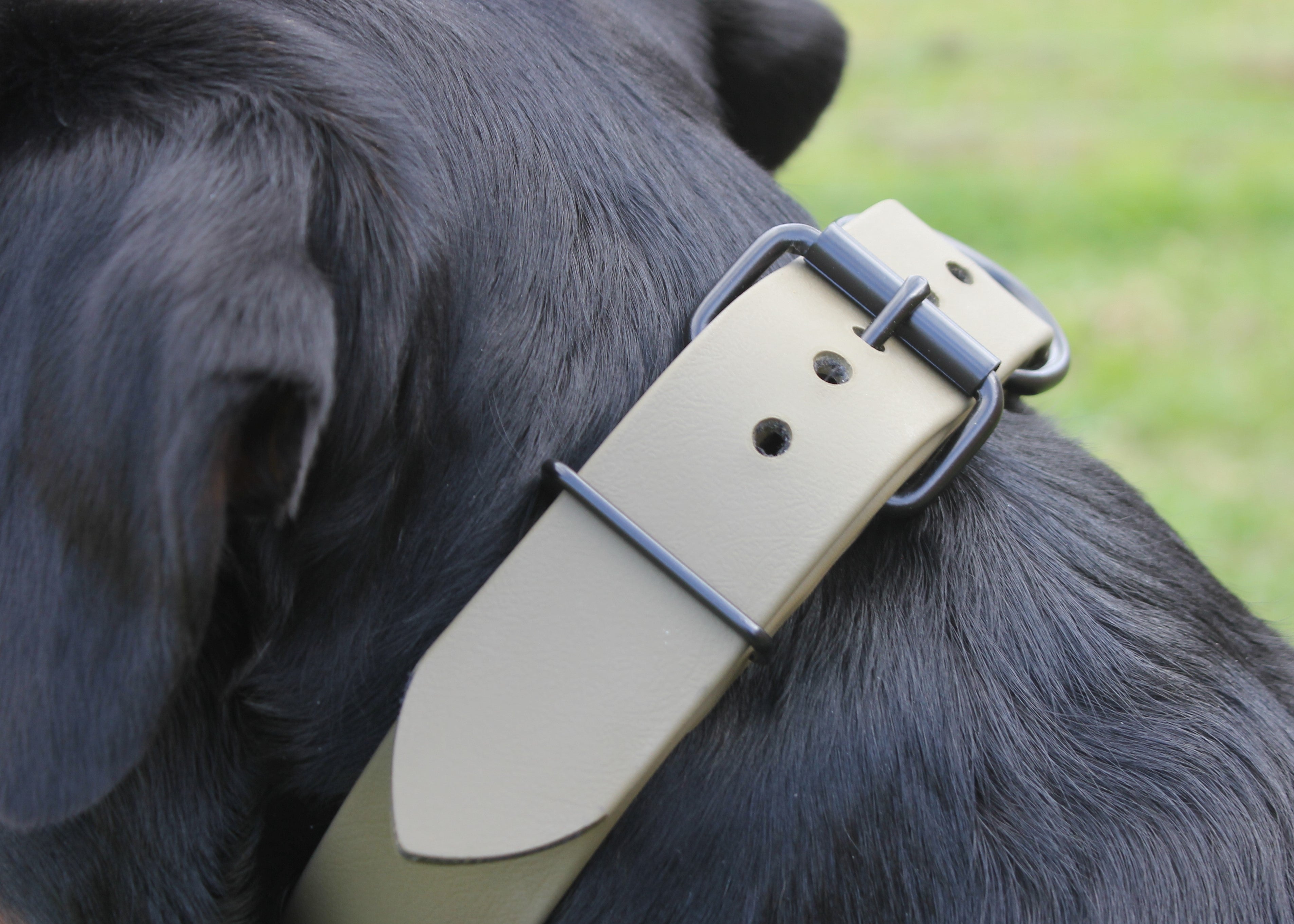 Biothane Working Dog Collar 1-1/2" 38mm