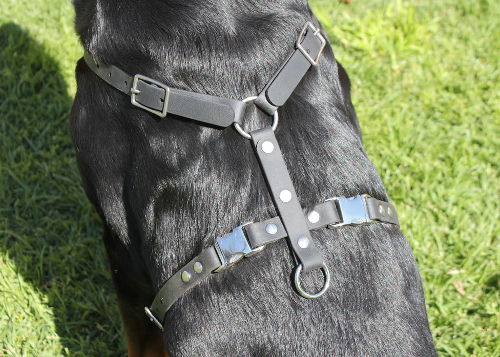Biothane Harness 3/4" 19mm