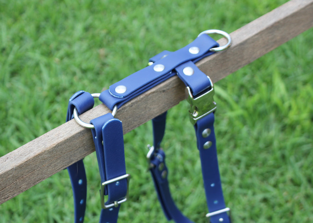 Biothane Harness 3/4" 19mm