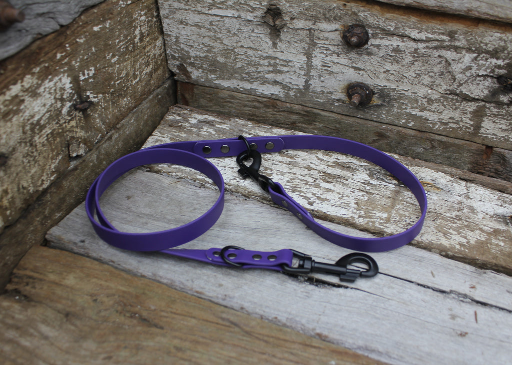 Biothane Service Dog Lead 3/4" 19mm