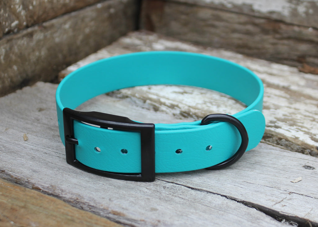Biothane Flat Collar 1" 25mm