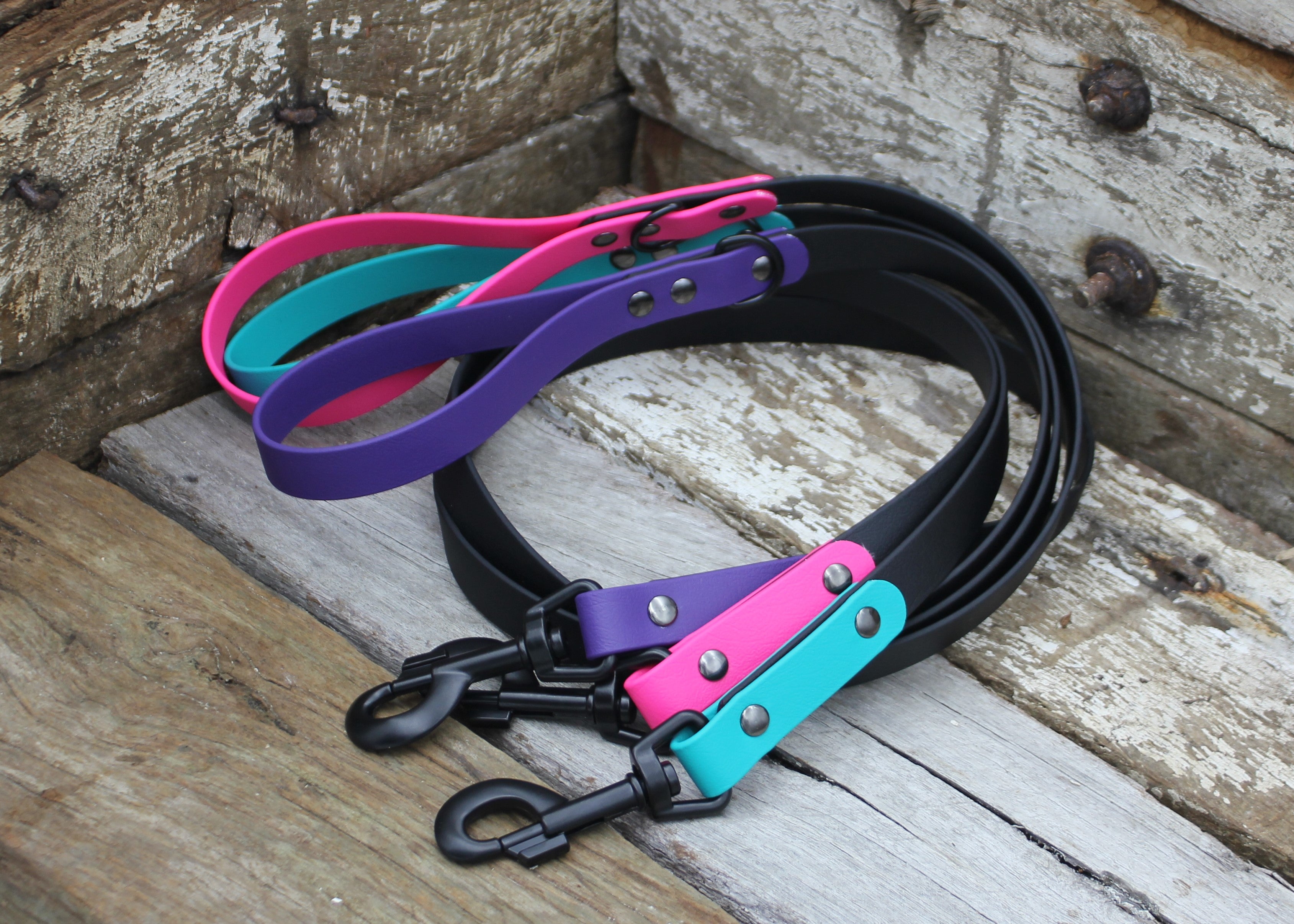 Biothane Lead Two Tone 3/4" 19mm