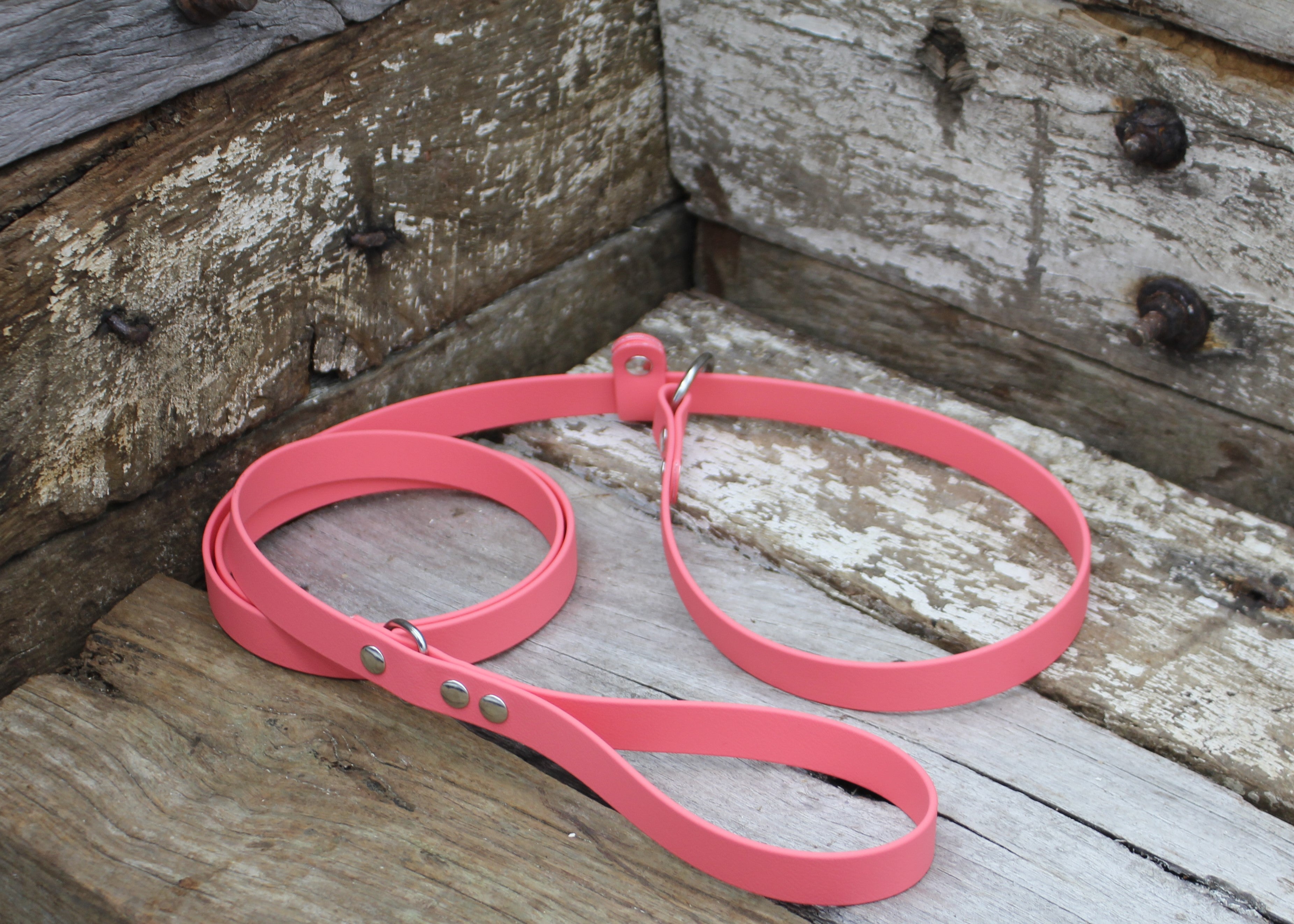 Biothane Slip Lead 3/4" 19mm