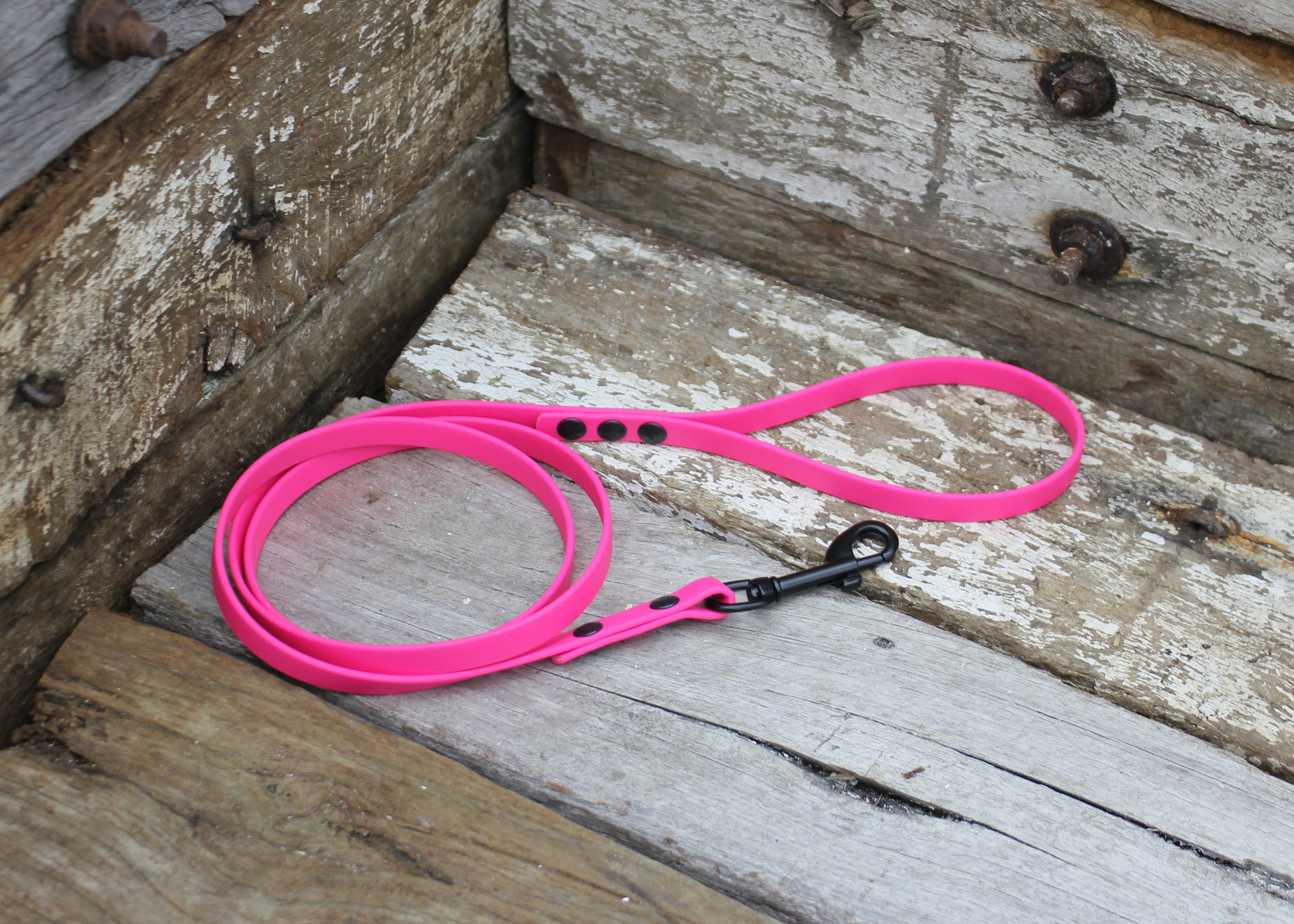 Biothane Lead 1/2" 13mm