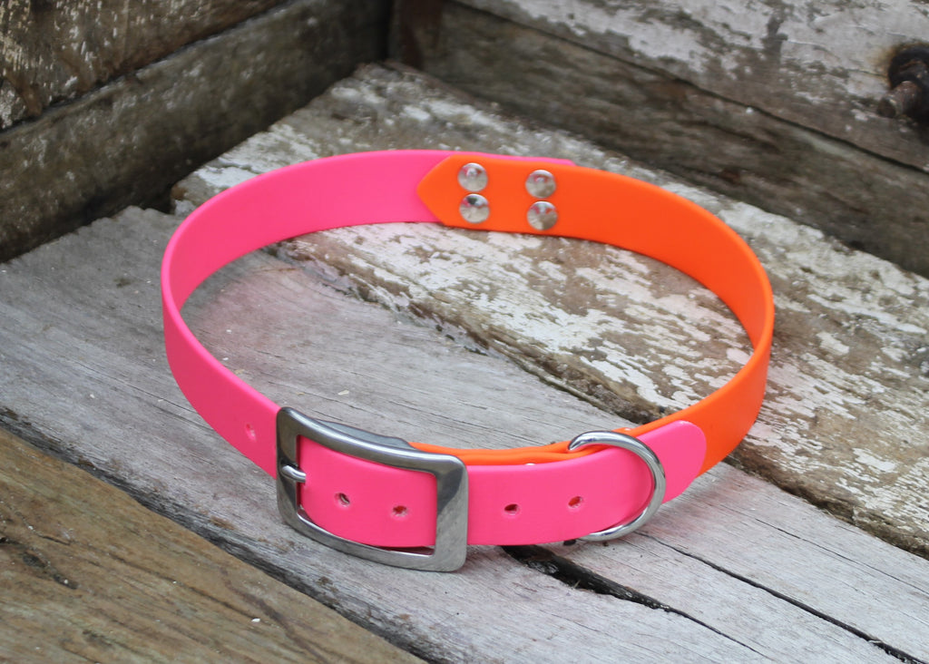Biothane Collar Two Tone 1" 25mm