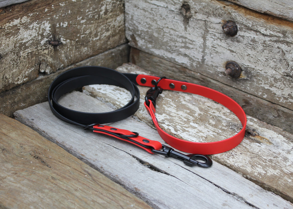 Biothane Two Tone Tactical Dog Lead 3/4" 19mm