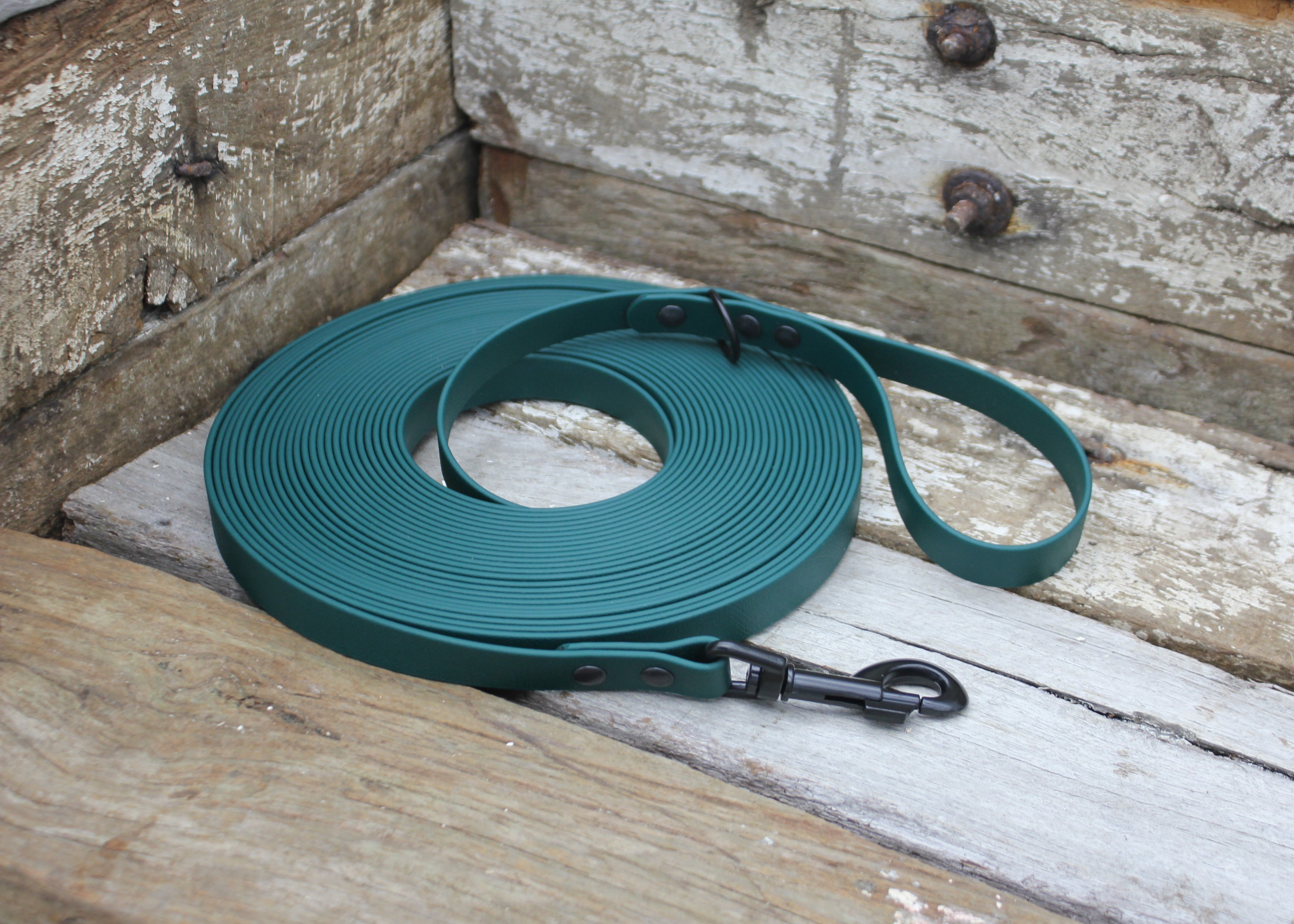 Biothane Long Line Dog Lead 3/4" 19mm Waterproof 3m 4m 5m 6m 8m 10m 12m