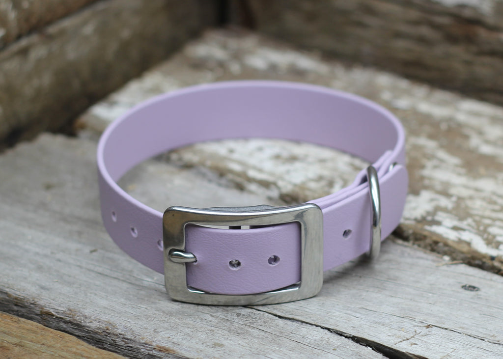 Biothane Flat Collar 1" 25mm