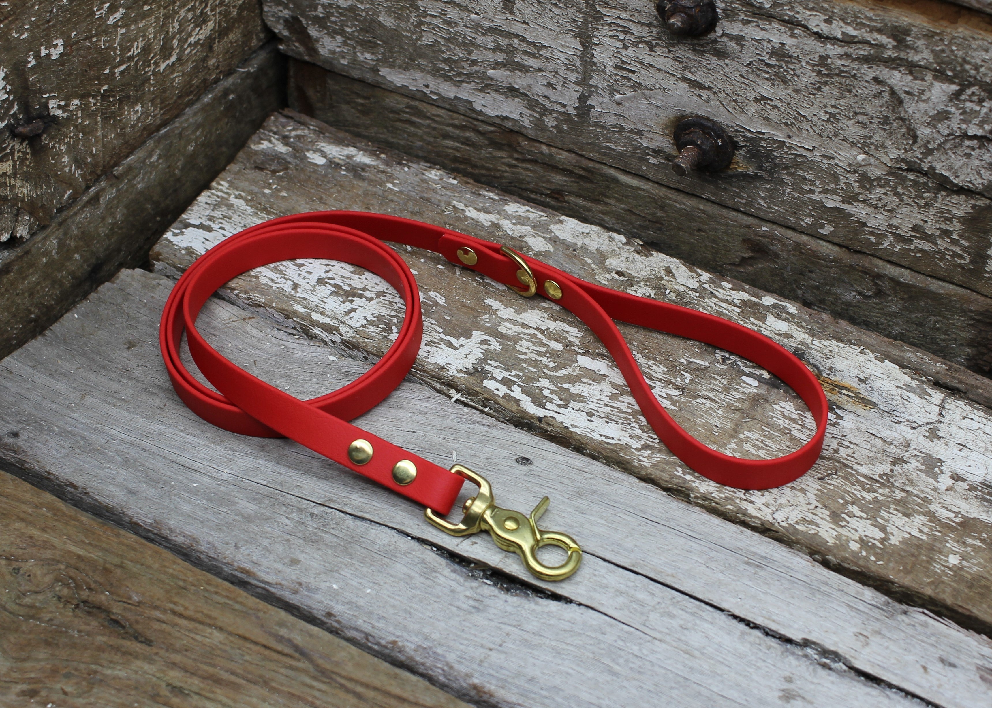 Biothane Lead 5/8" 16mm