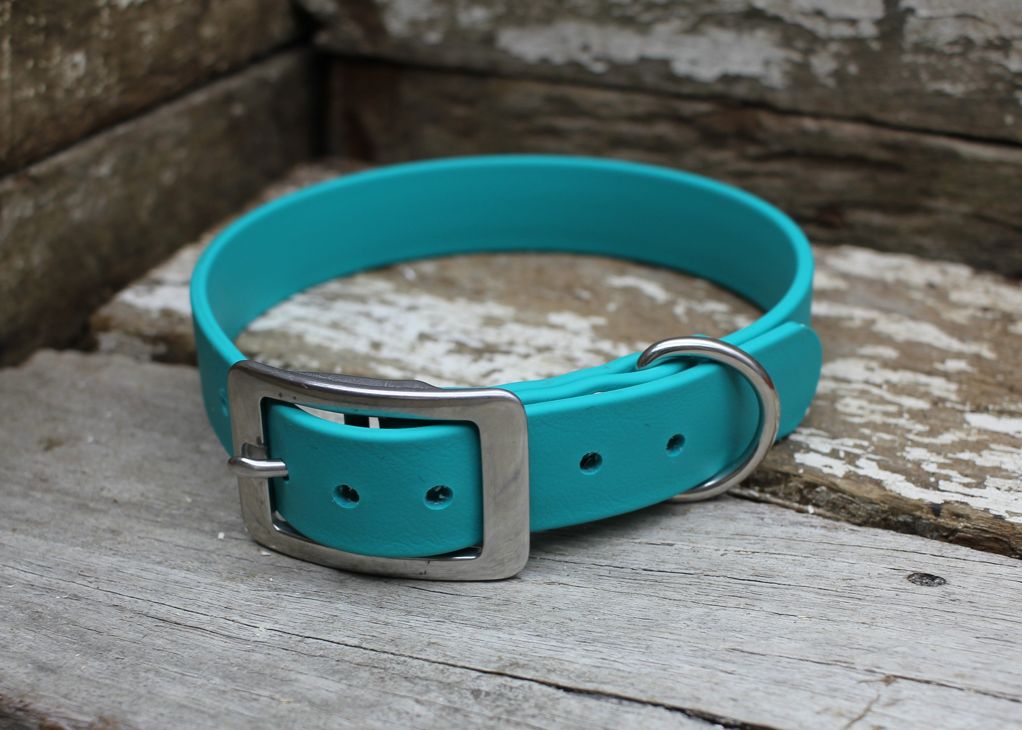 Biothane Flat Collar 1" 25mm SUPER HEAVY