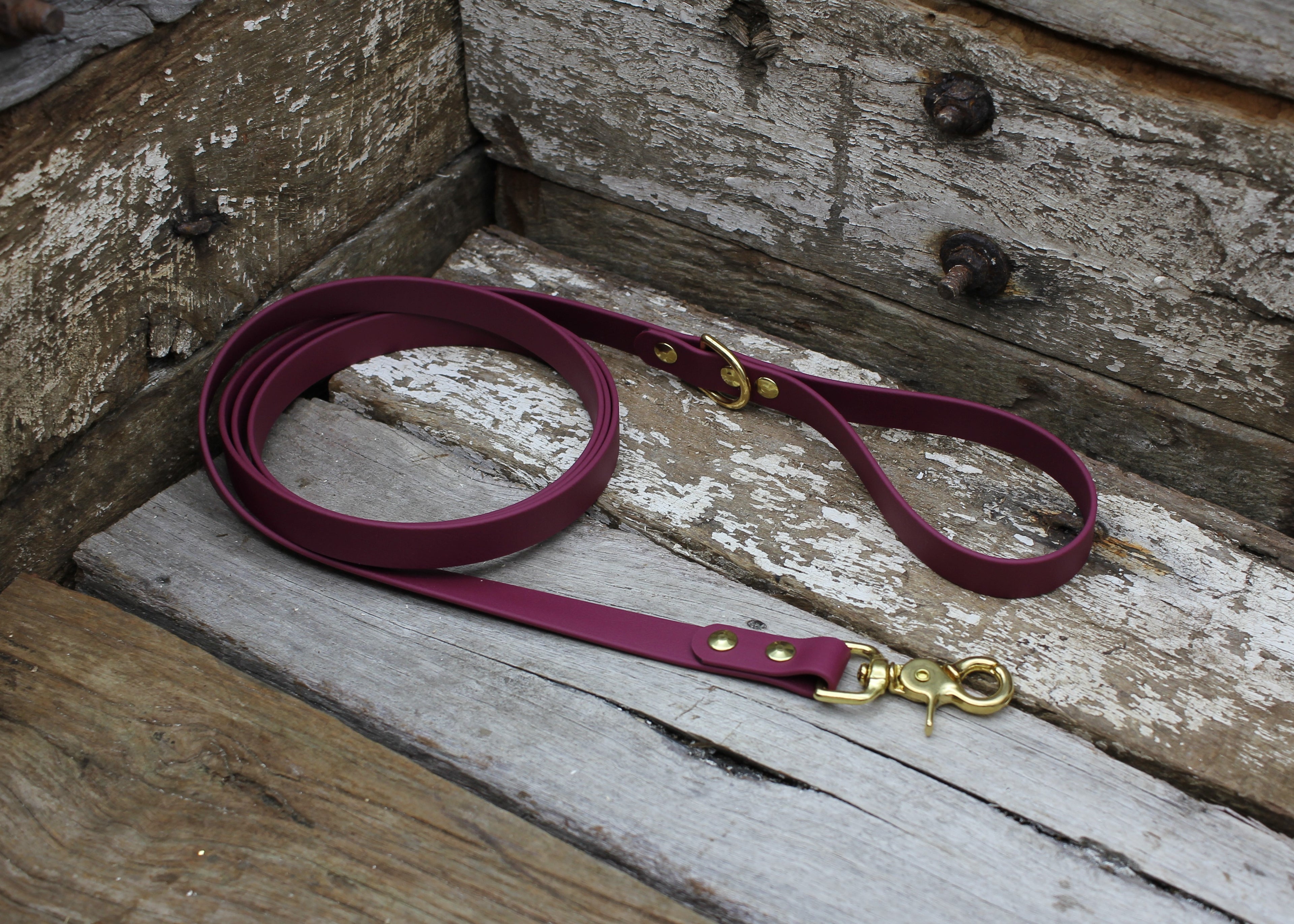 Biothane Lead 3/4" 19mm