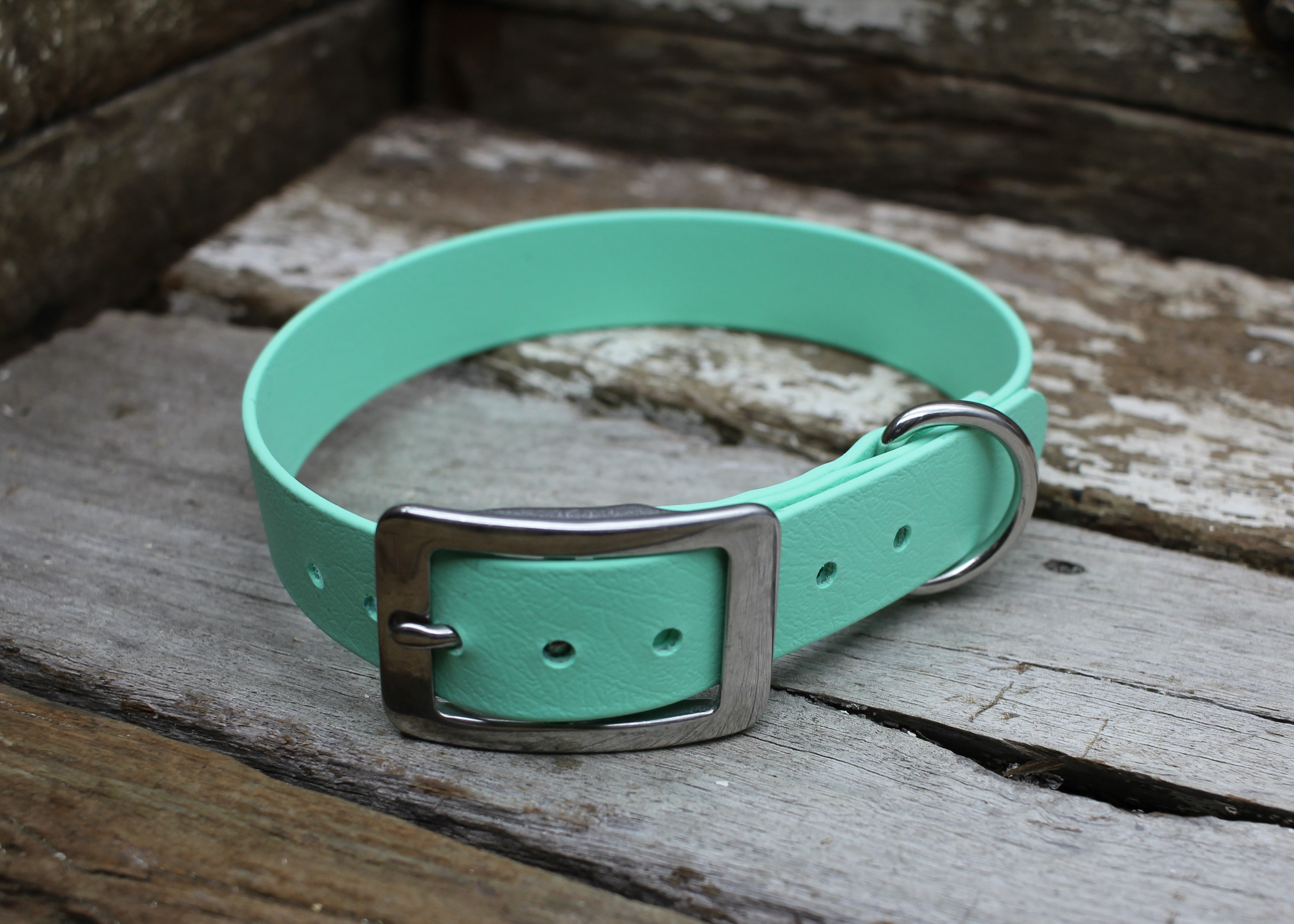 Biothane Flat Collar 1" 25mm