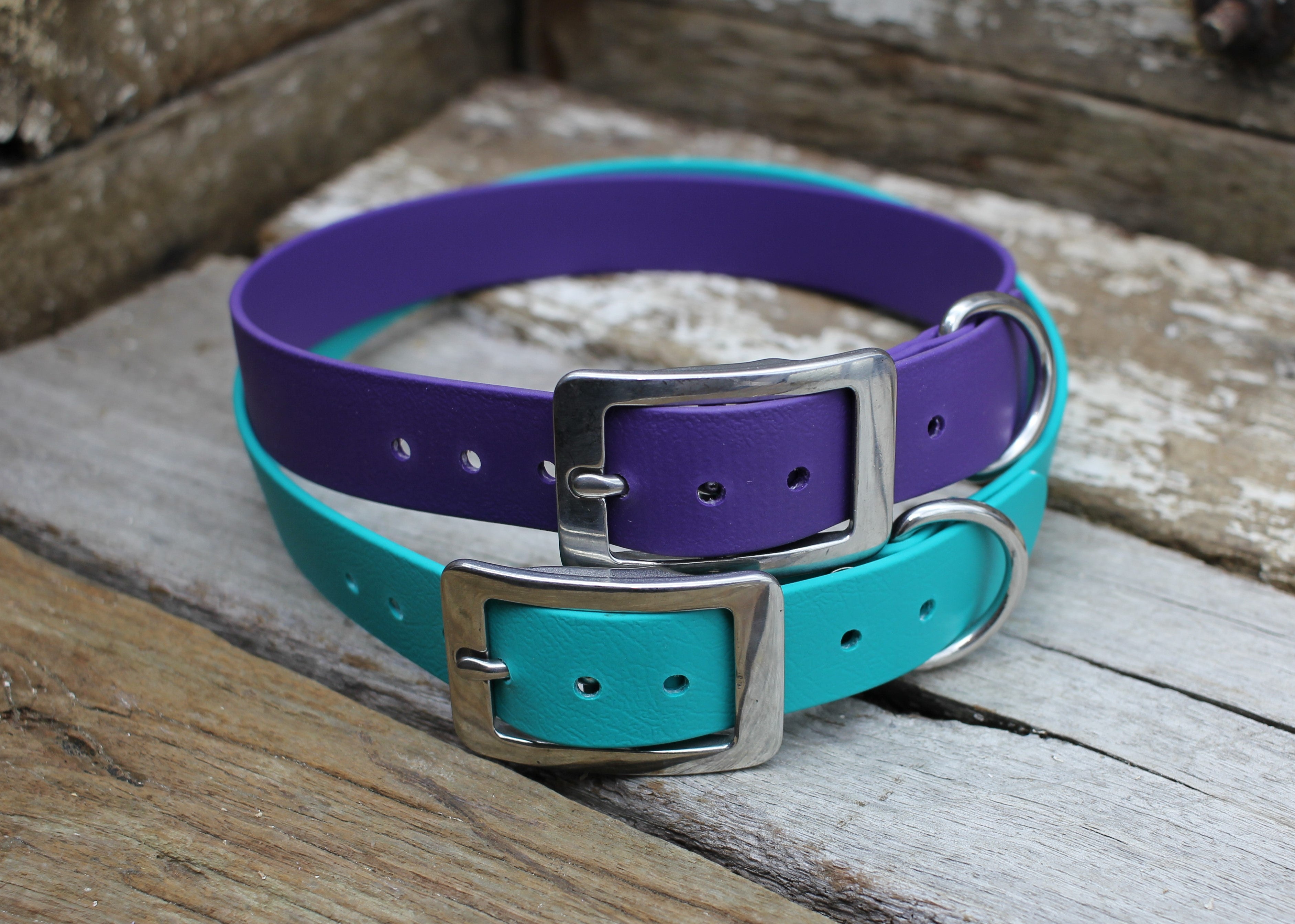 Biothane Flat Collar 1" 25mm