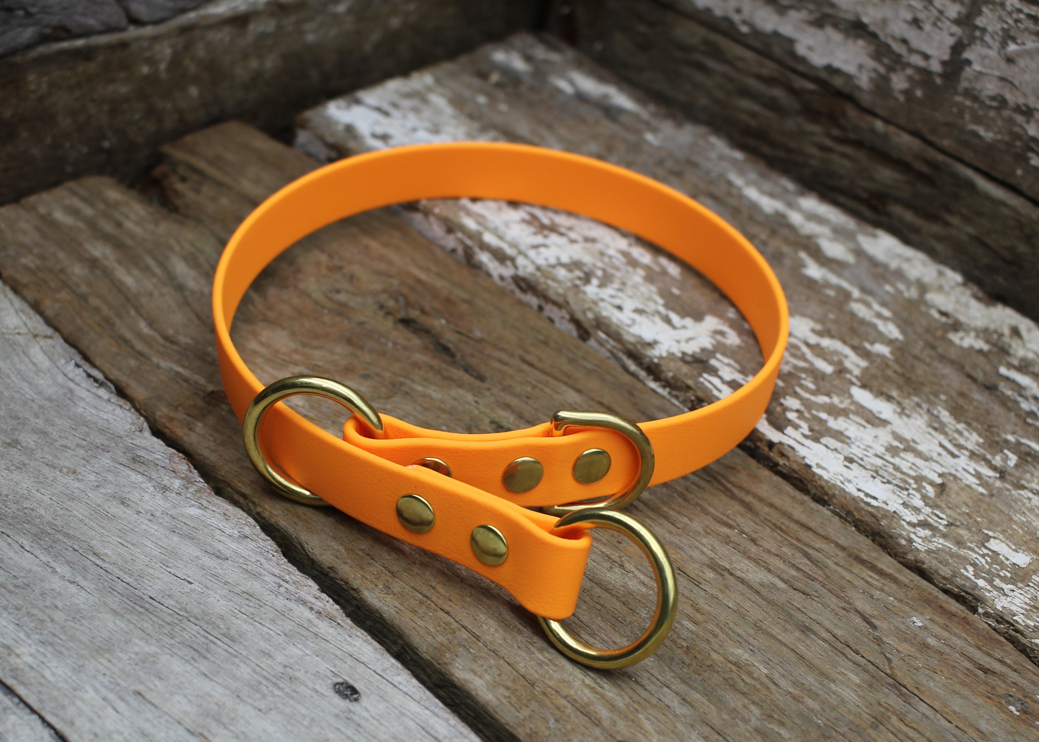 Biothane Slip Collar 3/4" 19mm