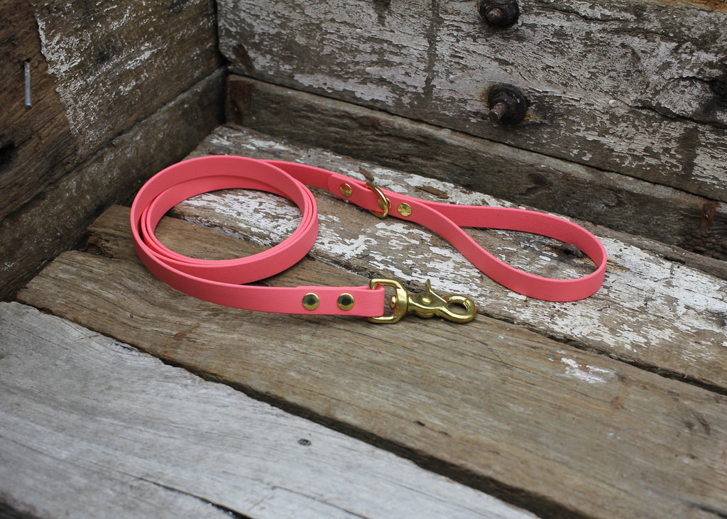 Biothane Lead 5/8" 16mm