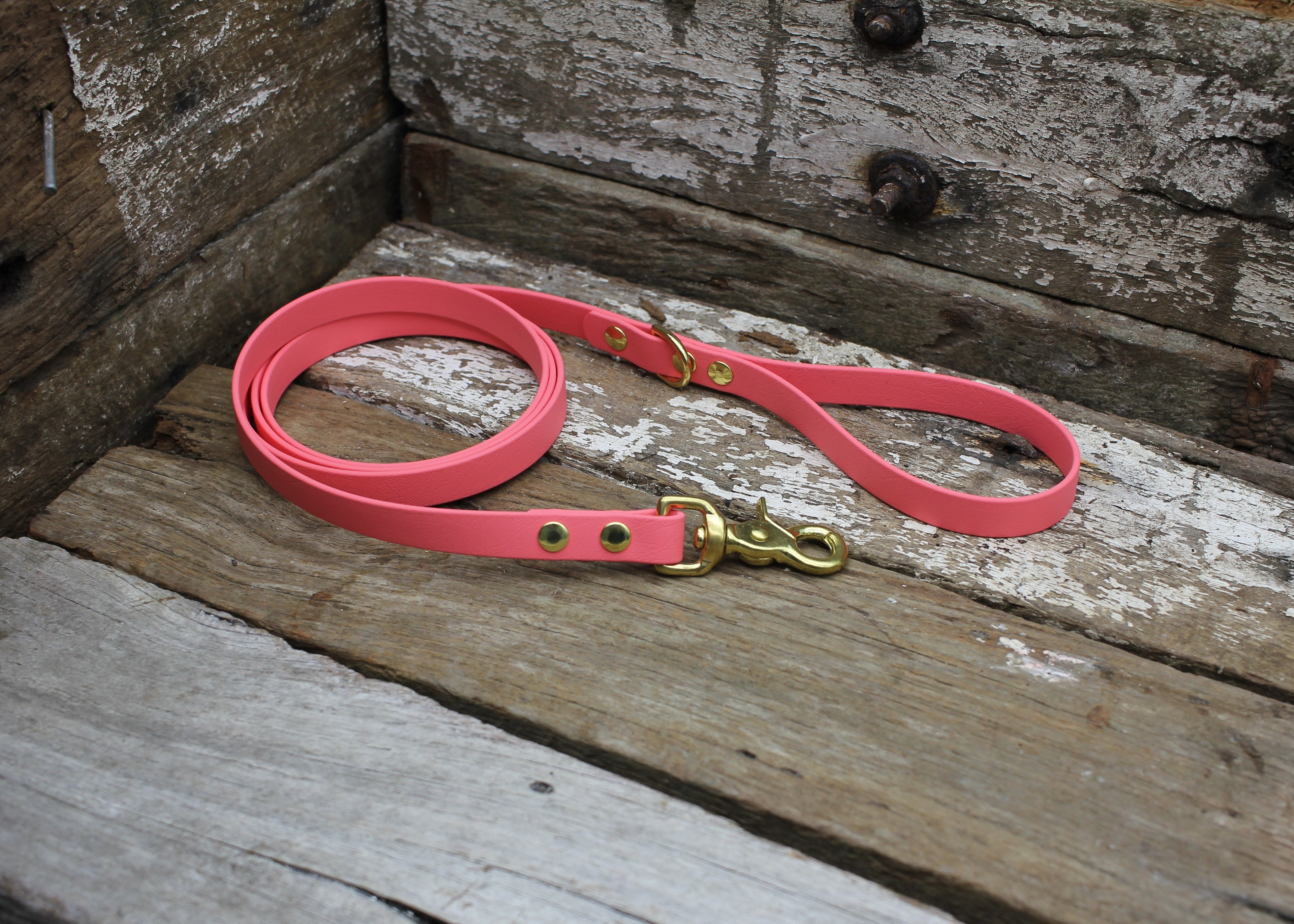 Biothane Lead 5/8" 16mm