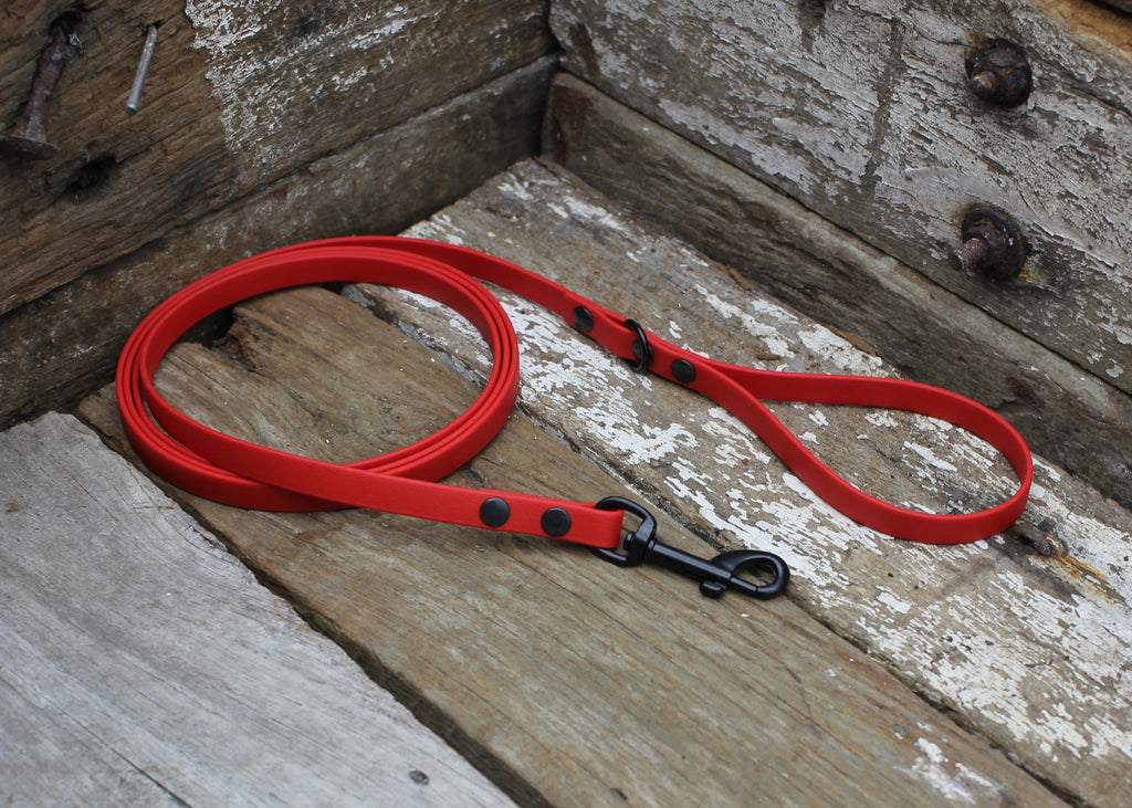 Biothane Lead 1/2" 13mm