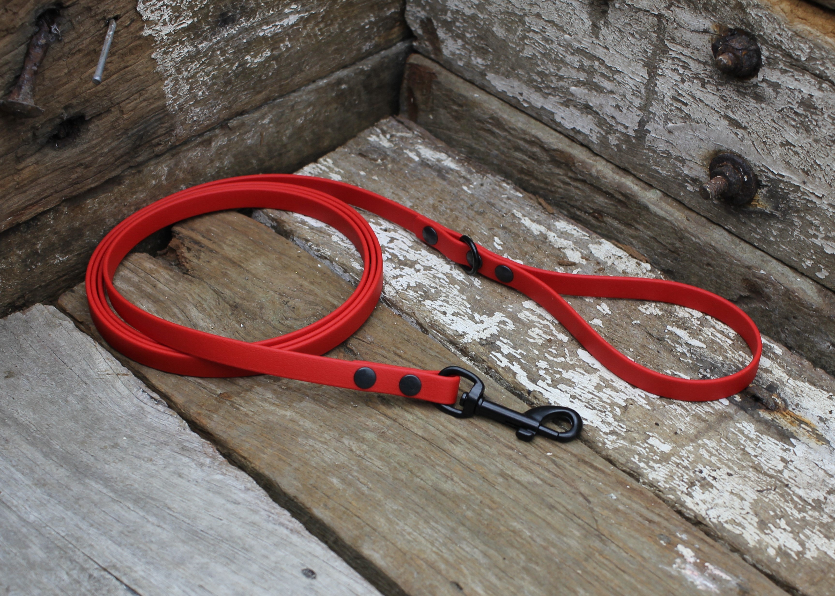 Biothane Lead 1/2" 13mm