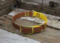 Biothane Collar Two Tone Ring 1" 25mm