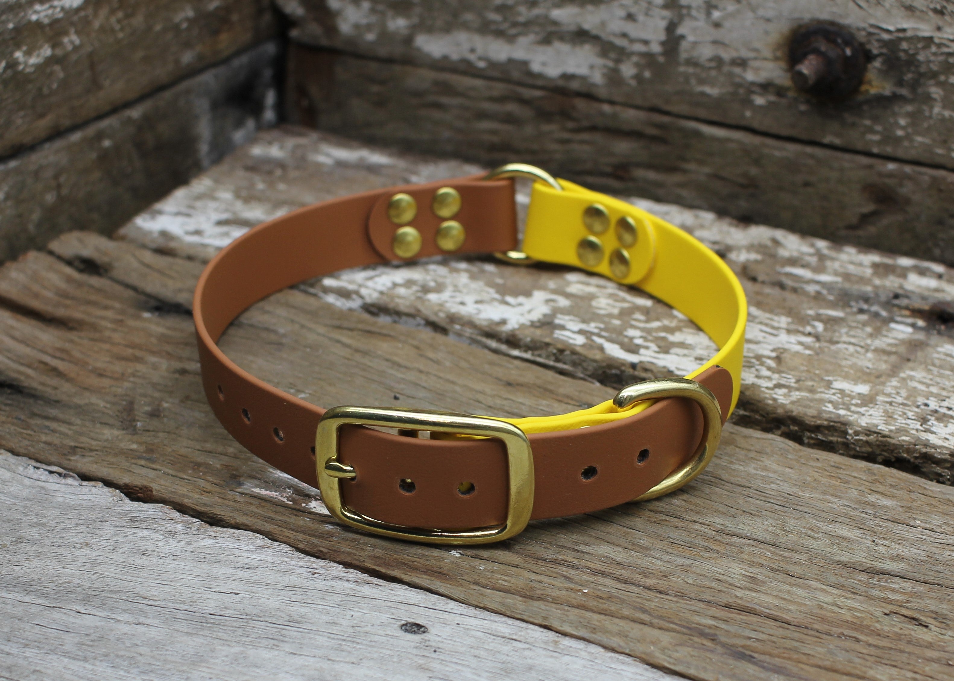 Biothane Collar Two Tone Ring 1" 25mm