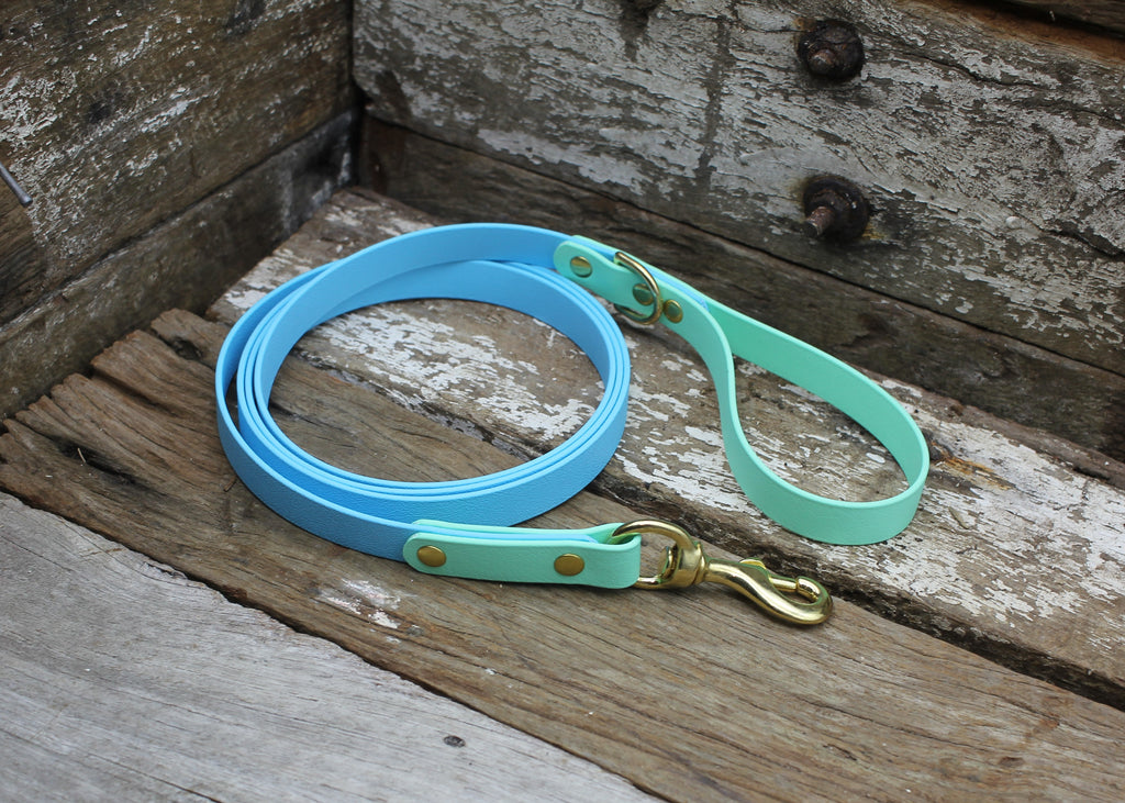 Biothane Lead Two Tone 3/4" 19mm