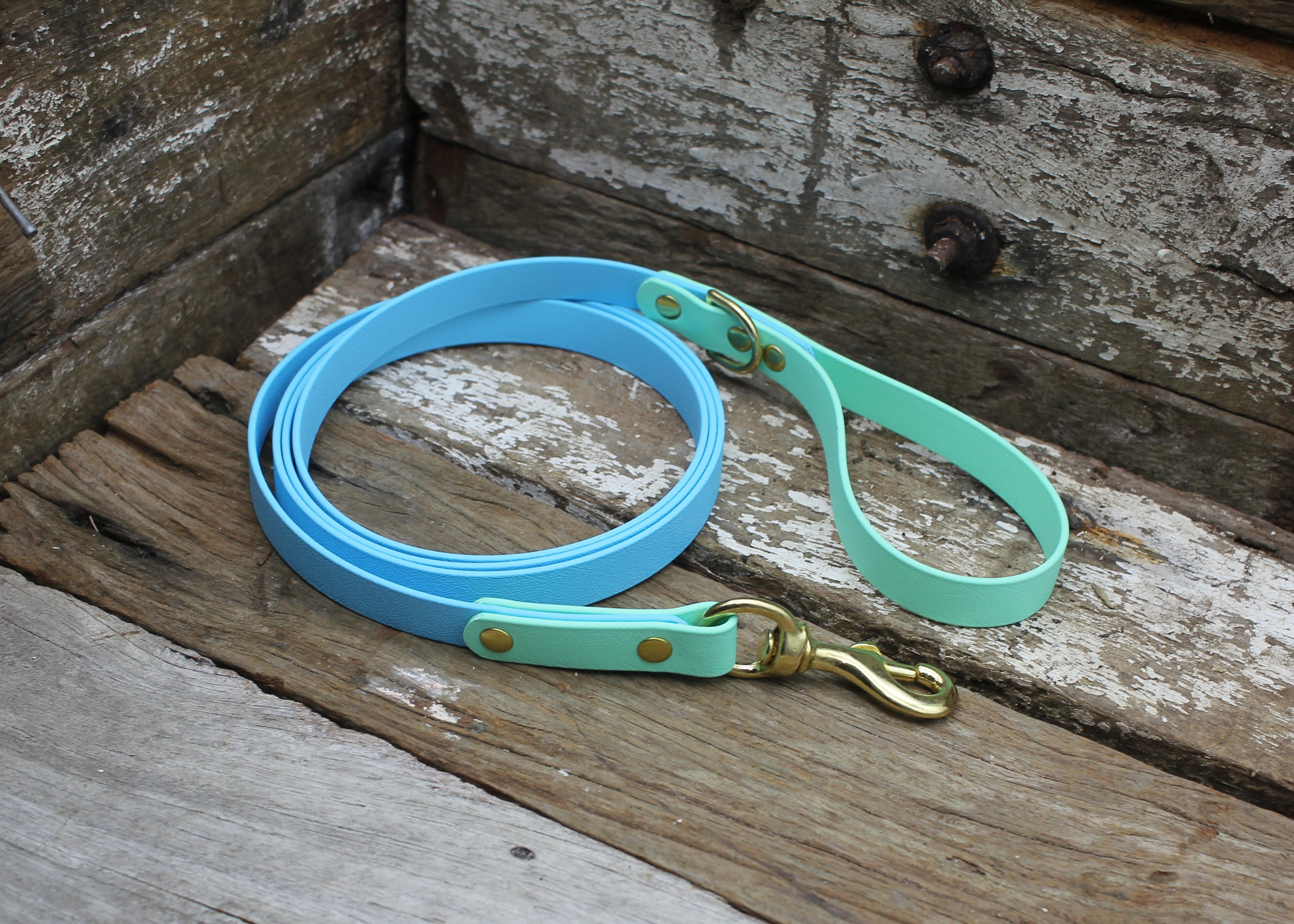 Biothane Lead Two Tone 3/4" 19mm