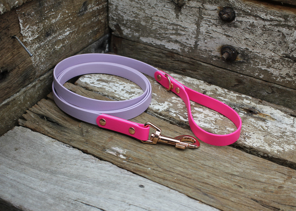 Biothane Lead Two Tone 3/4" 19mm