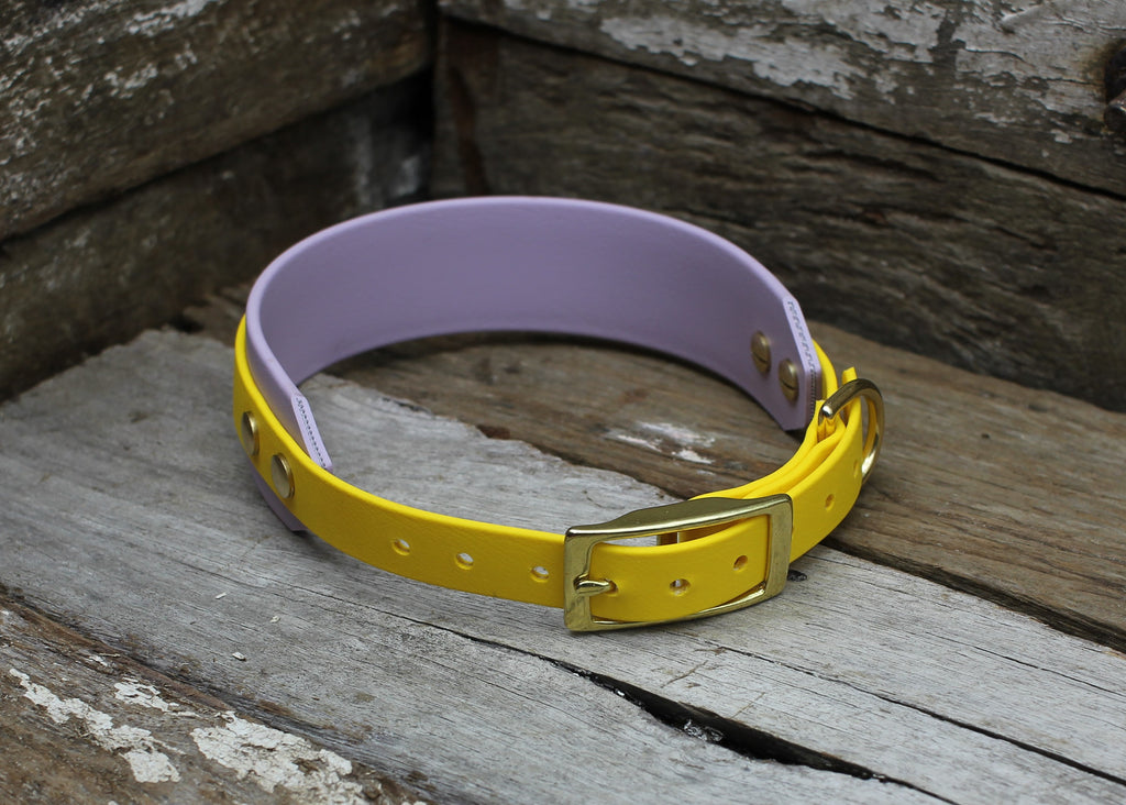 Biothane Collar Dual Layer 3/4" + 1-1/2"