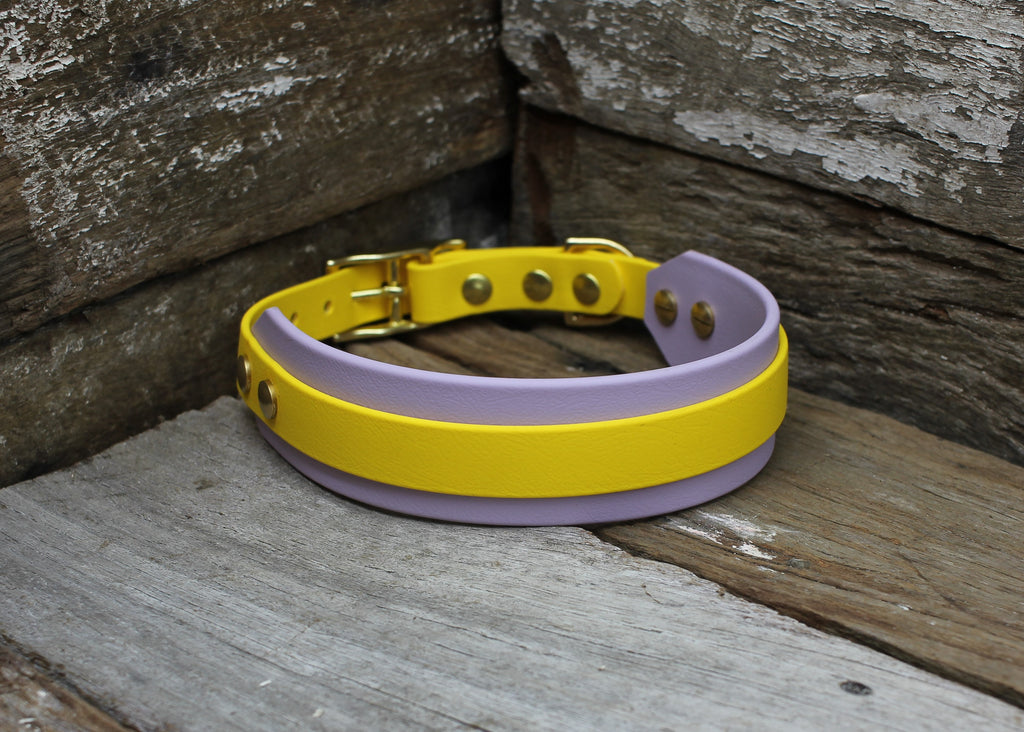 Biothane Collar Dual Layer 3/4" + 1-1/2"