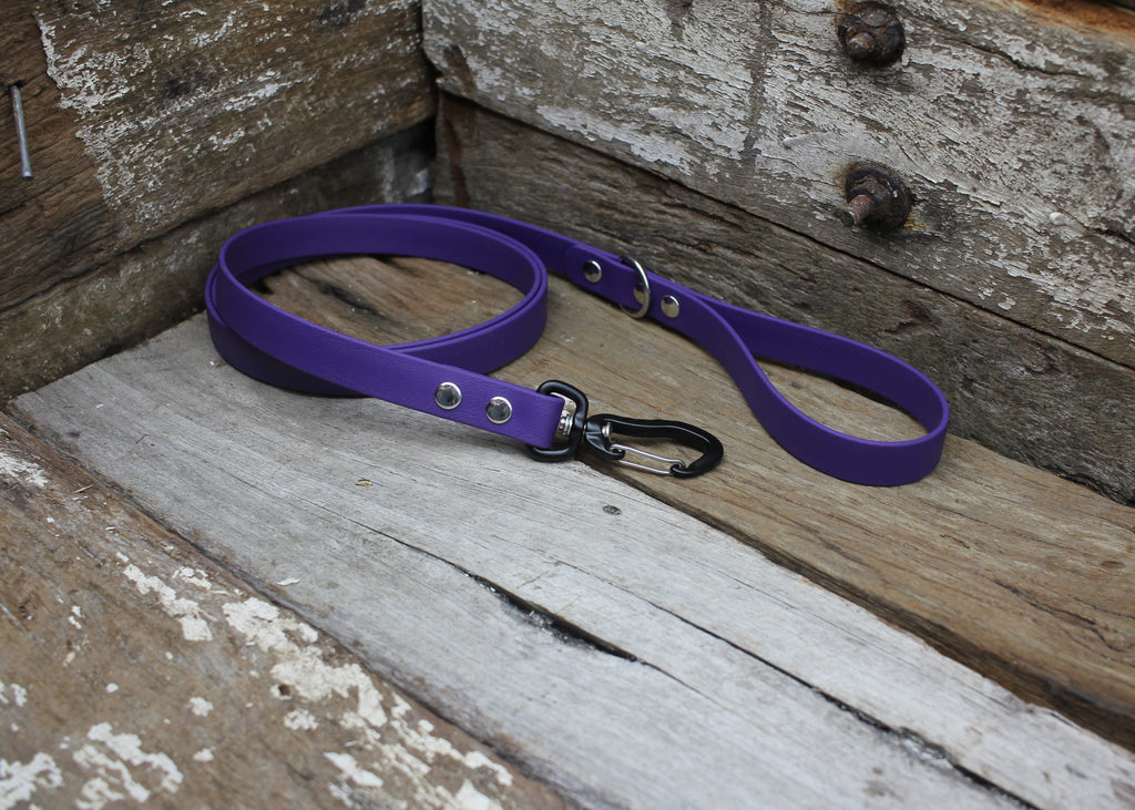 Biothane Lead 3/4" 19mm