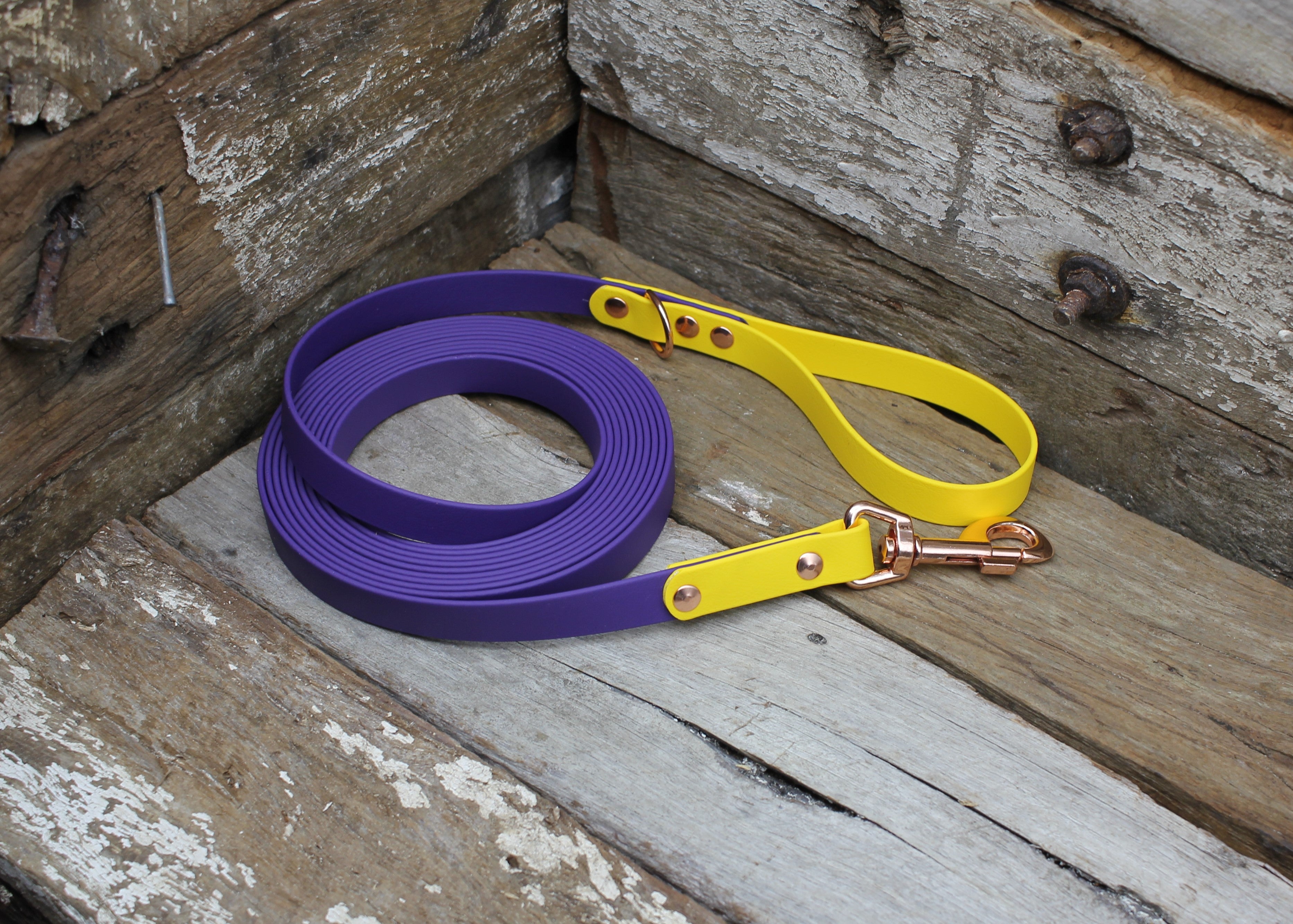 Biothane Long Line Two Tone 3/4" 19mm Waterproof 3m 4m 5m 6m 8m 10m 12m
